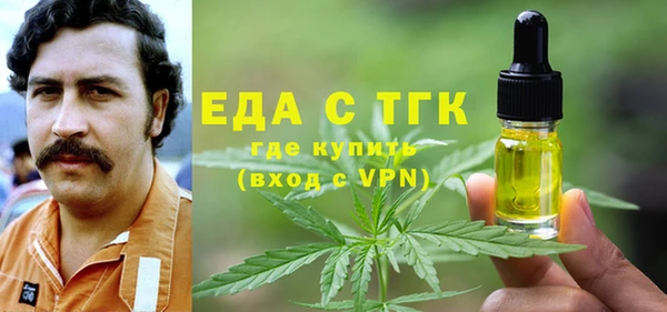 шишки Верхний Тагил